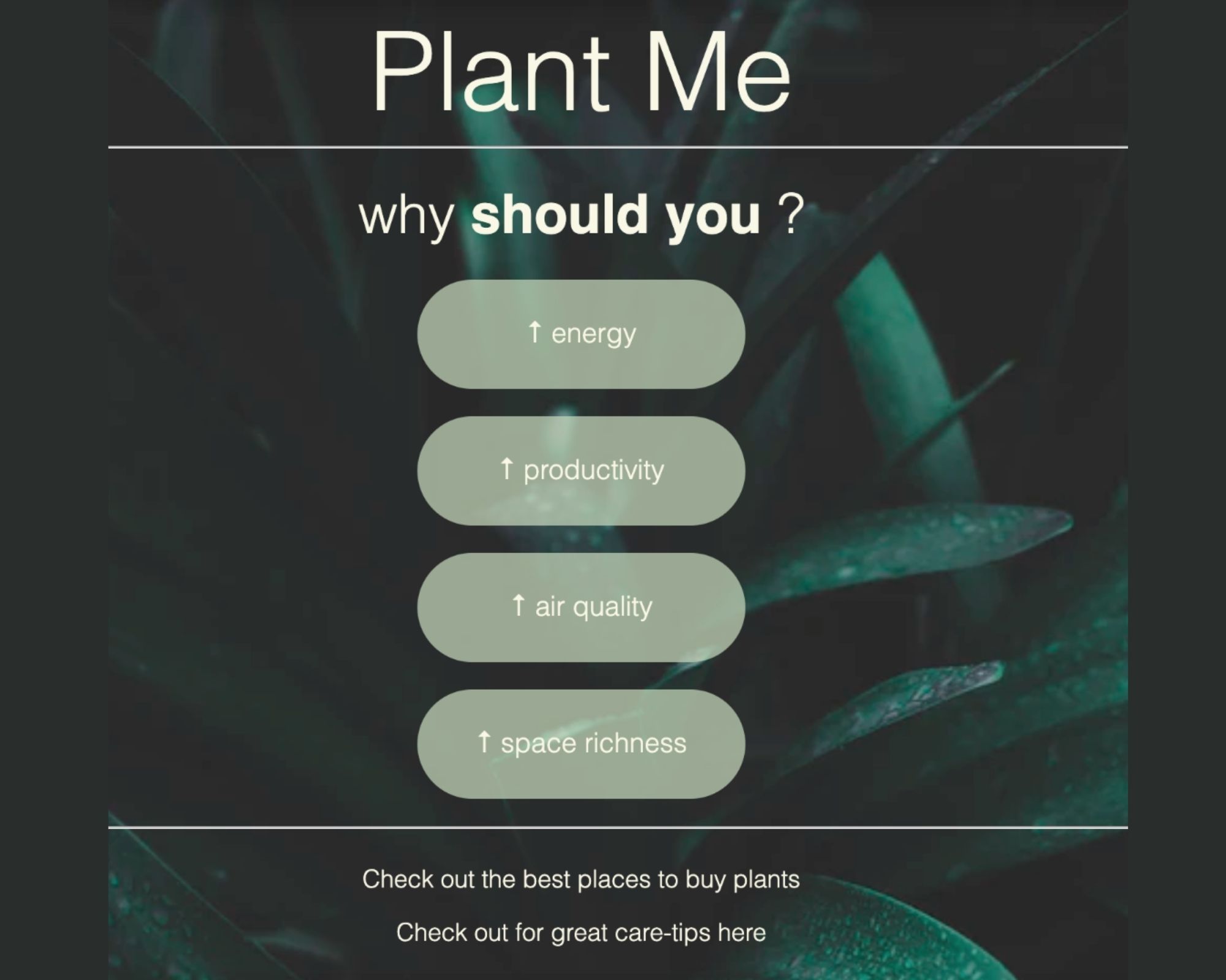 plant_Me